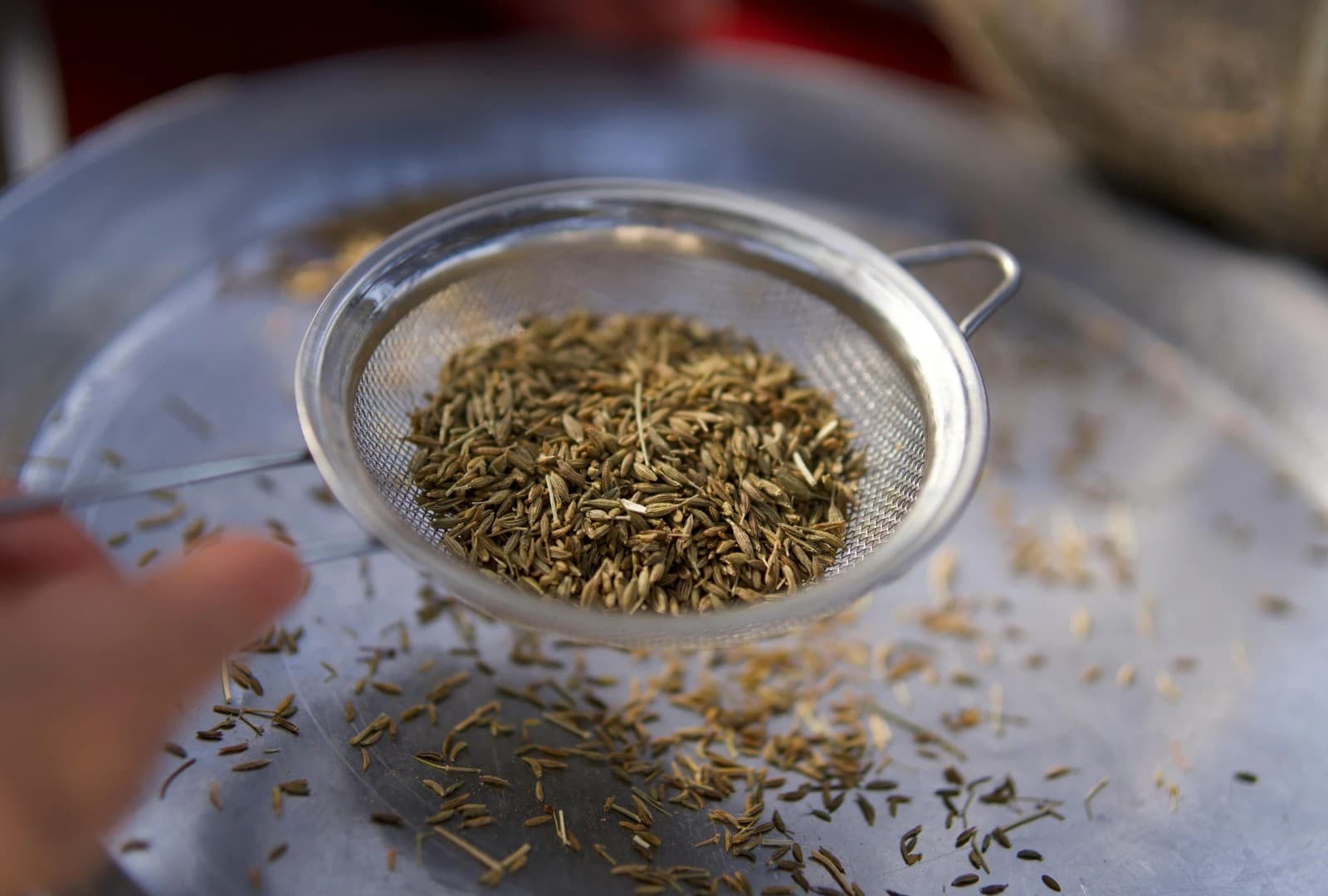 A hand holding a fine mesh sieve of dried leaves and seeds over a metal tray